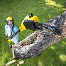 Best Seasonal Cleanup (Spring/Fall)  in Manito, IL